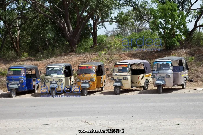 : Line of Tuk-Tuk three wheeled motorised rickshaw : Line of Tuk-Tuk three wheeled motorised rickshaw