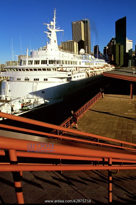  : Liner moored at Overseas Passenger Terminal at