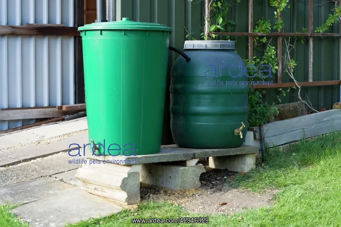: Two linked green plastic water butts collecting : Two linked green plastic water butts collecting
