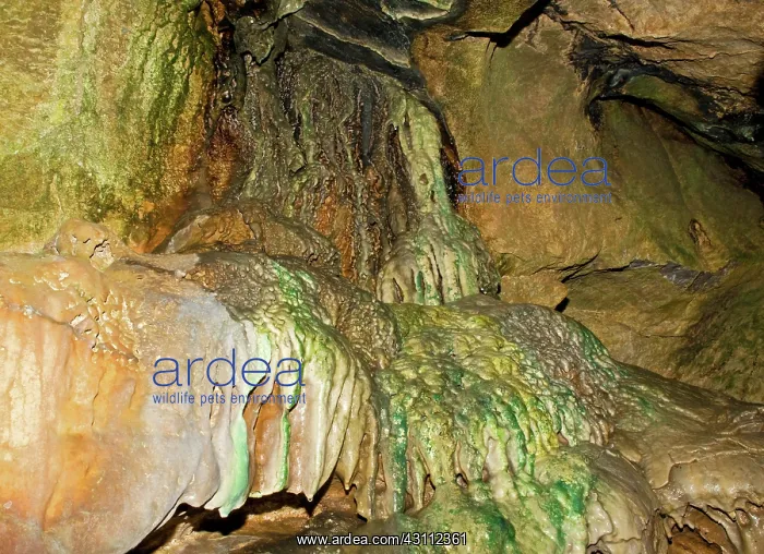 : Linville Caverns : Linville Caverns
