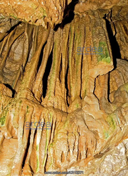 : Linville Caverns : Linville Caverns