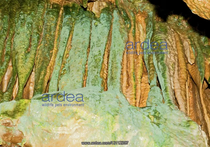 : Linville Caverns : Linville Caverns