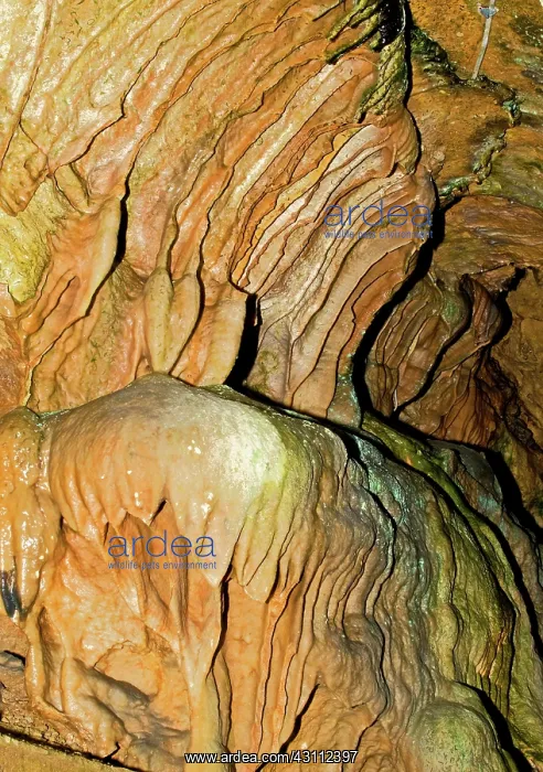 : Linville Caverns : Linville Caverns