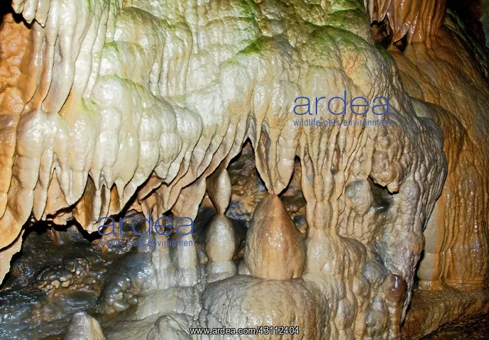 : Linville Caverns : Linville Caverns