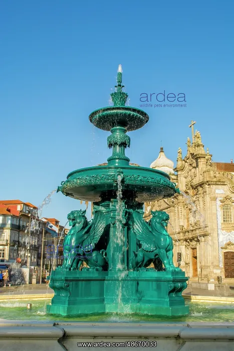 : Lions Fountain (Fonte dos Leoes) and the Church of Our Lady : Lions Fountain (Fonte dos Leoes) and the Church of Our Lady
