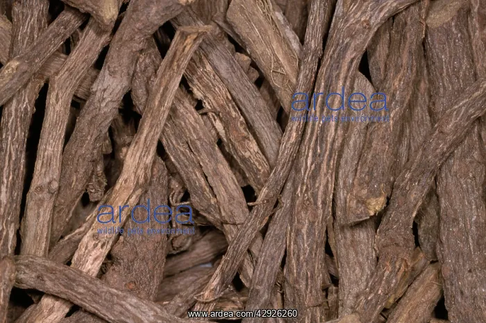  : Liquorice Sticks - roots