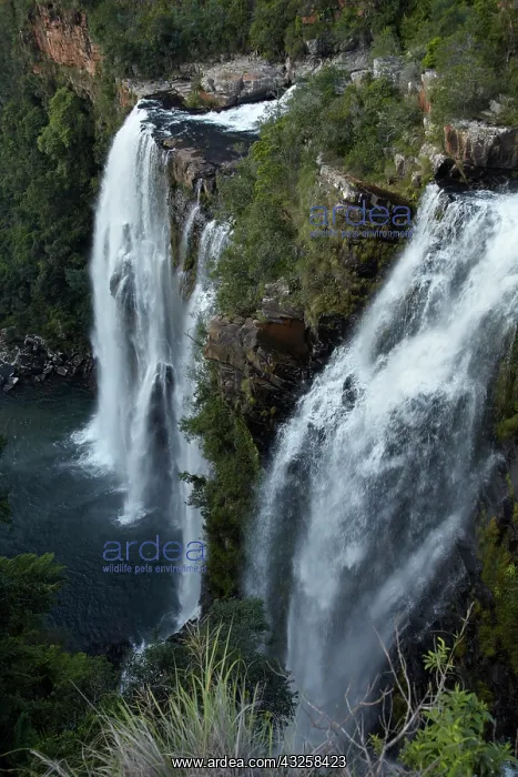 : Lisbon Falls, near Graskop, Mpumalanga province : Lisbon Falls, near Graskop, Mpumalanga province