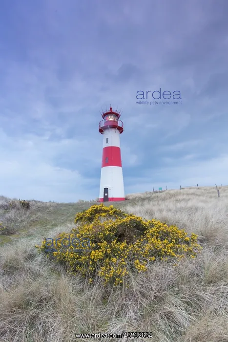 : List East lighthouse on the island of Sylt - North : List East lighthouse on the island of Sylt - North