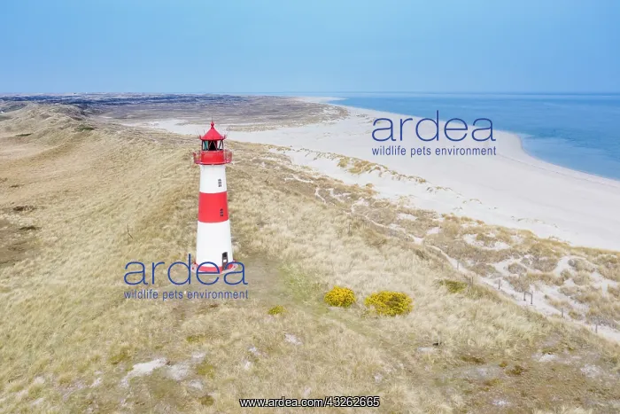 : List East lighthouse on the island of Sylt - North : List East lighthouse on the island of Sylt - North
