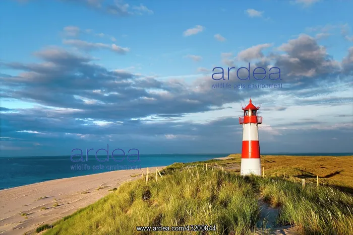: List-Ost Lighthouse, northern part of the island : List-Ost Lighthouse, northern part of the island