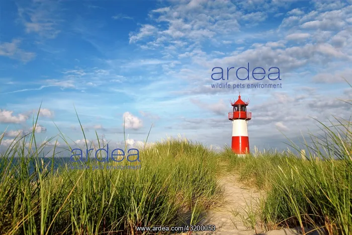 : List-Ost Lighthouse, northern part of the island : List-Ost Lighthouse, northern part of the island