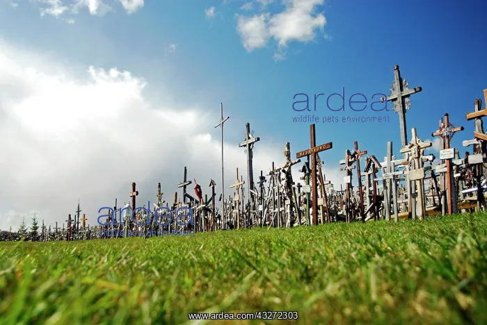 : LITHUANIA, Siauliai. Heaps of crosses and : LITHUANIA, Siauliai. Heaps of crosses and