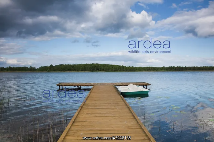 : Lithuania, Southern Lithuania, Grutas, lake : Lithuania, Southern Lithuania, Grutas, lake