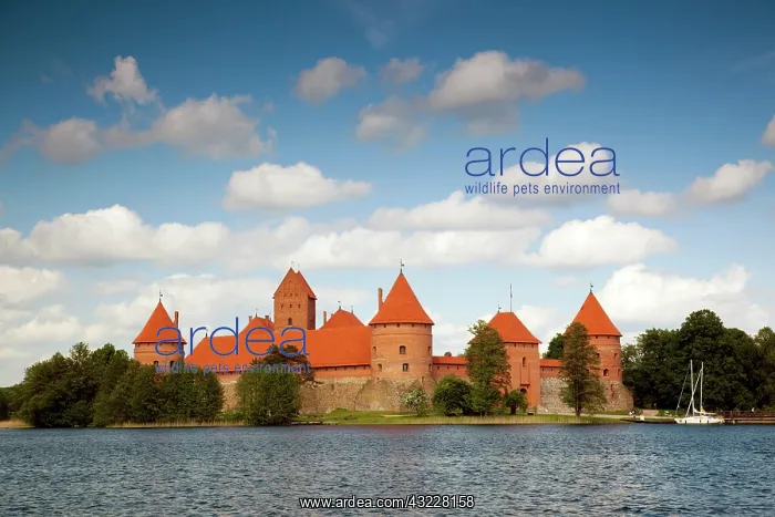 : Lithuania, Trakai, Trakai Historical National : Lithuania, Trakai, Trakai Historical National