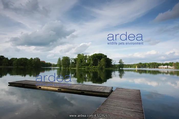 : Lithuania, Trakai, Trakai Historical National : Lithuania, Trakai, Trakai Historical National