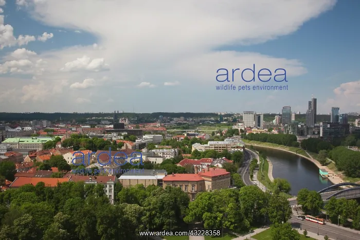 : Lithuania, Vilnius, Gediminas Hill elevated : Lithuania, Vilnius, Gediminas Hill elevated