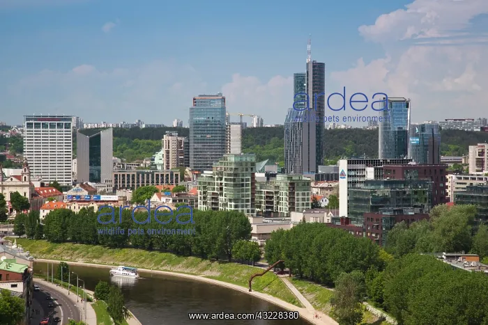 : Lithuania, Vilnius, Gediminas Hill elevated : Lithuania, Vilnius, Gediminas Hill elevated