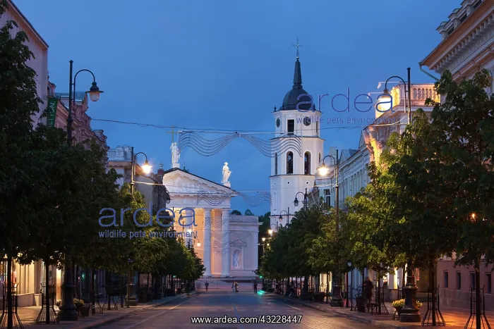 : Lithuania, Vilnius, Vilnius Cathedral, evening : Lithuania, Vilnius, Vilnius Cathedral, evening