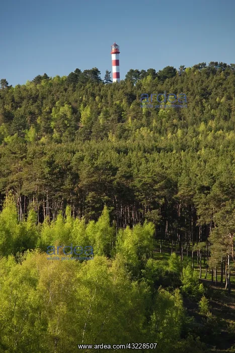 : Lithuania, Western Lithuania, Curonian Spit : Lithuania, Western Lithuania, Curonian Spit