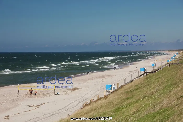 : Lithuania, Western Lithuania, Curonian Spit : Lithuania, Western Lithuania, Curonian Spit