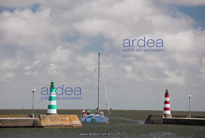 : Lithuania, Western Lithuania, Curonian Spit : Lithuania, Western Lithuania, Curonian Spit