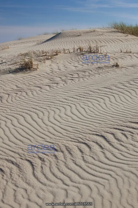 : Lithuania, Western Lithuania, Curonian Spit : Lithuania, Western Lithuania, Curonian Spit