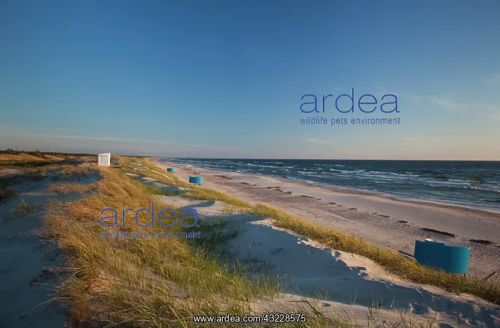 : Lithuania, Western Lithuania, Curonian Spit : Lithuania, Western Lithuania, Curonian Spit