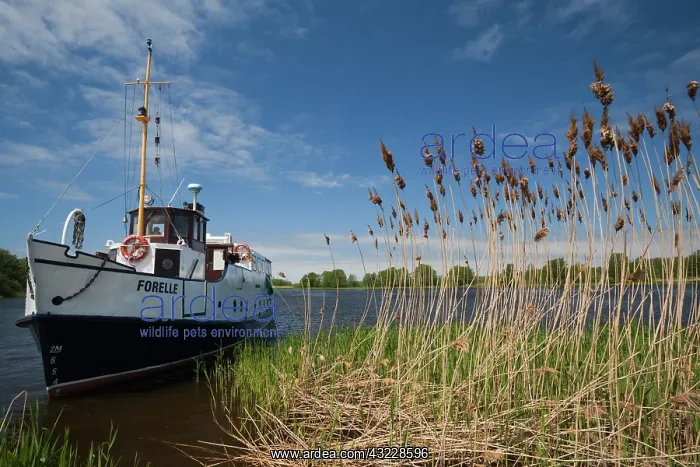 : Lithuania, Western Lithuania, Nemunas Delta : Lithuania, Western Lithuania, Nemunas Delta
