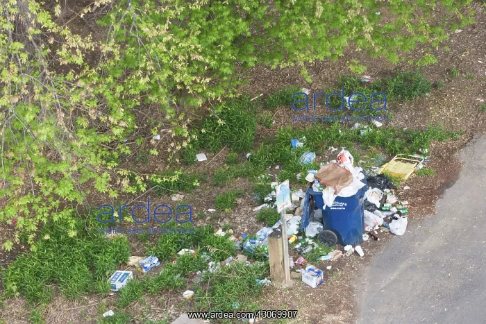 : Litter. Trash, litter, at a boat ramp on the Congaree River : Litter. Trash, litter, at a boat ramp on the Congaree River