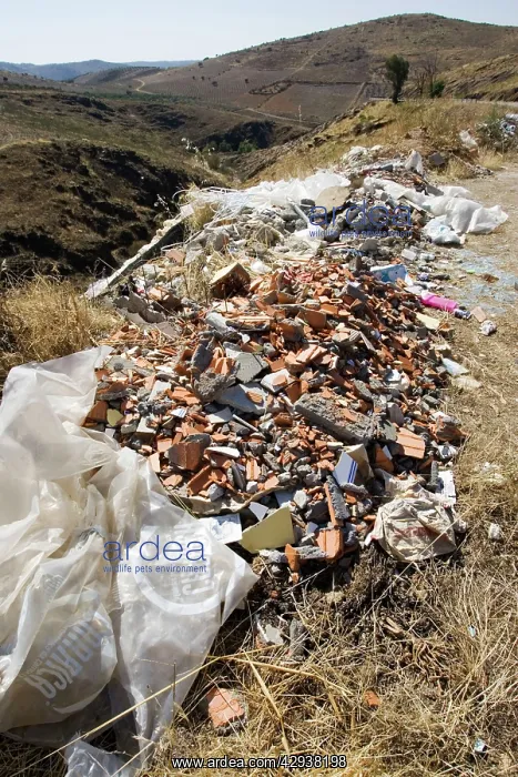 : Litter - builder's rubbish dumped in Parque Natural