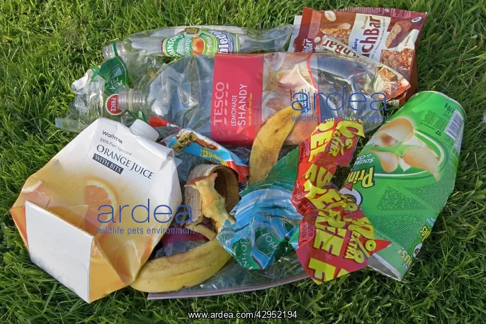 : Litter - Discarded picnic rubbish and plastic packaging : Litter - Discarded picnic rubbish and plastic packaging