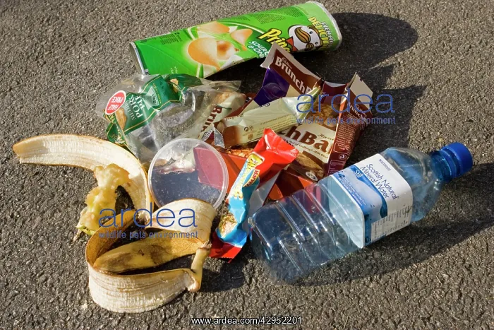  : Litter - discarded picnic rubbish and plastic packaging