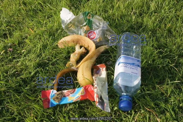 : Litter - discarded picnic rubbish and plastic packaging : Litter - discarded picnic rubbish and plastic packaging