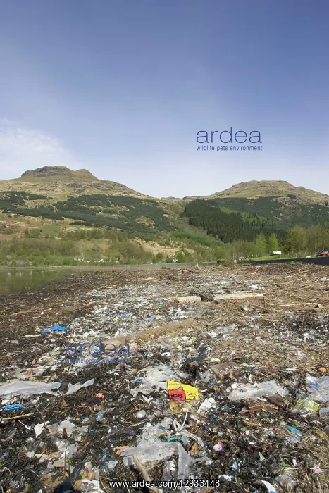 : LITTER, flotsam and plastic debris on beach - washed : LITTER, flotsam and plastic debris on beach - washed