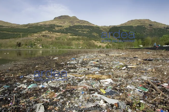 : Litter, flotsam plastic debris on beach - washed : Litter, flotsam plastic debris on beach - washed