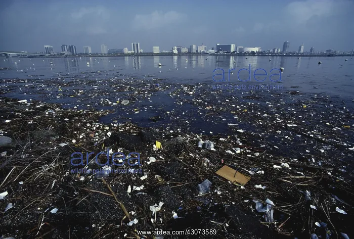 : Littered River, Long Beach, California : Littered River, Long Beach, California