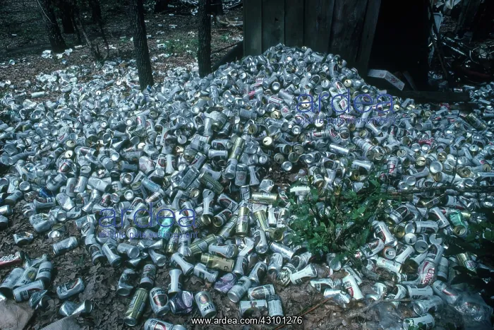 : Littering. Beer can dump in an oak-juniper woodland south of Fort Worth : Littering. Beer can dump in an oak-juniper woodland south of Fort Worth