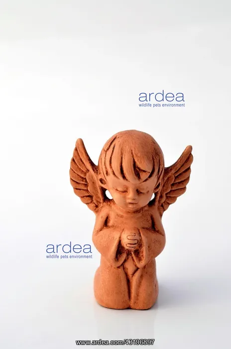 : Little angel made of clay, praying : Little angel made of clay, praying