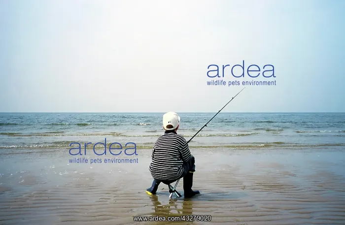 : Little boy sitting on a stool fishing, empty beach : Little boy sitting on a stool fishing, empty beach