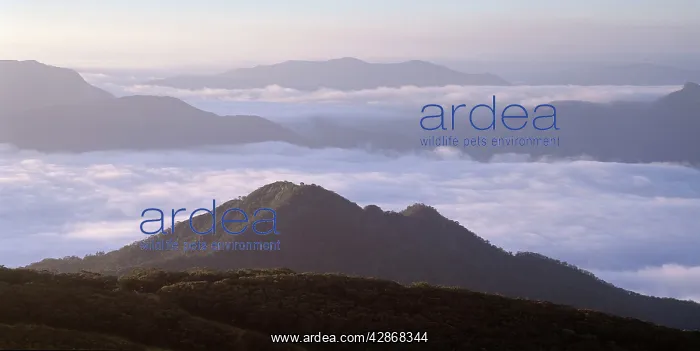 : Little Buller - View from Mount Buller : Little Buller - View from Mount Buller