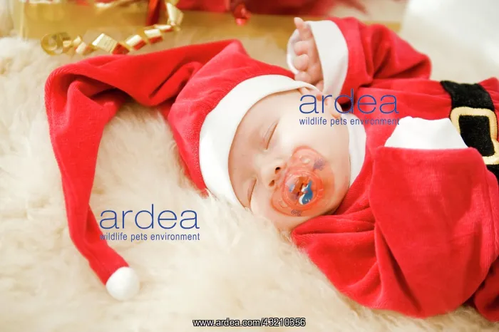 : Little Christmas baby : Little Christmas baby