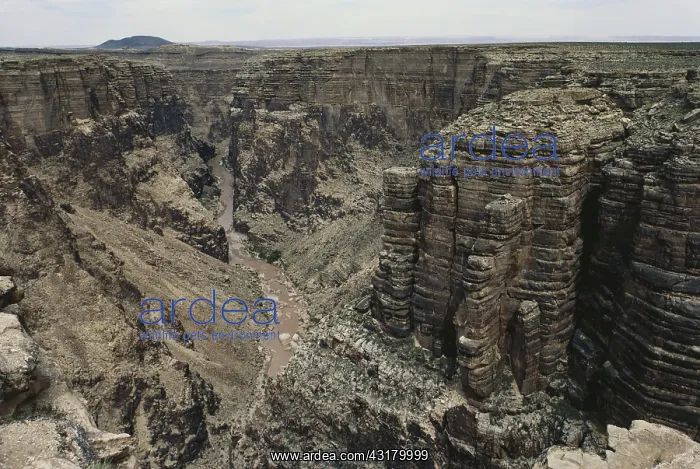 : Little Colorado River Gorge : Little Colorado River Gorge