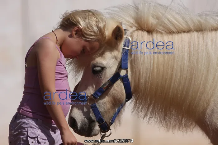 : Little girl cuddling her pony - Senegal : Little girl cuddling her pony - Senegal