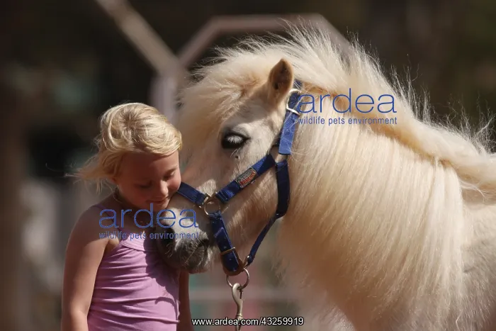 : Little girl cuddling her pony - Senegal : Little girl cuddling her pony - Senegal