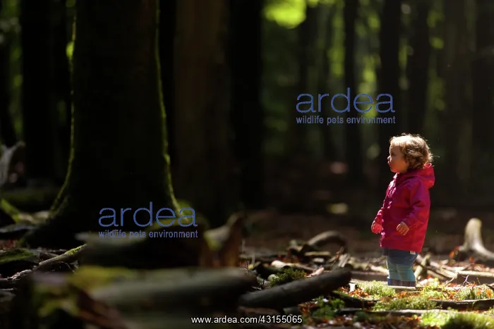  : Little girl looking at big unidentified tree in forest