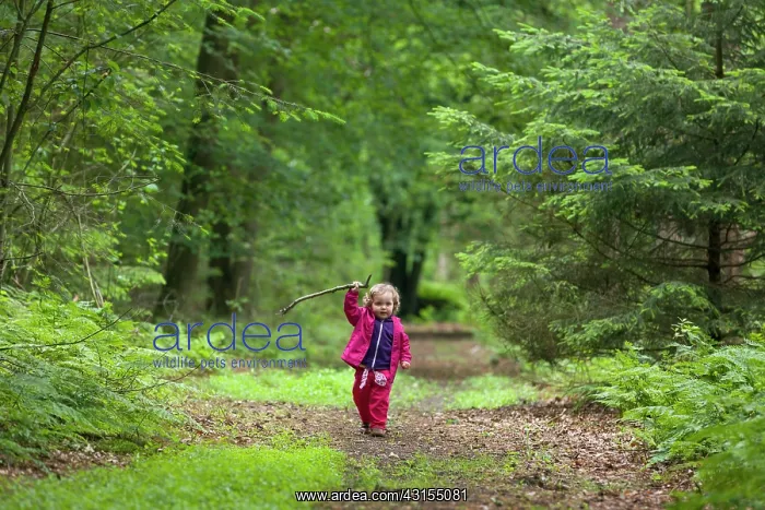 : Little girl playing with stick in forest : Little girl playing with stick in forest