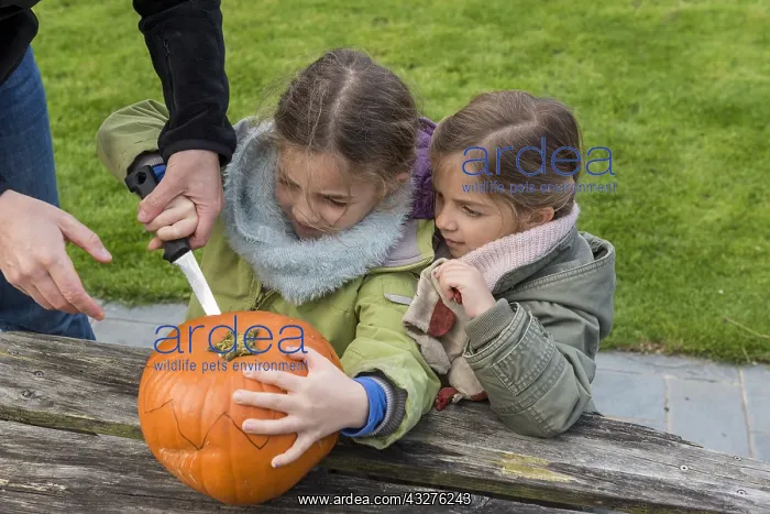 : Little girls making a Halloween pumpkin : Little girls making a Halloween pumpkin