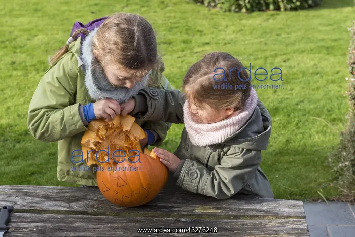 : Little girls making a Halloween pumpkin : Little girls making a Halloween pumpkin