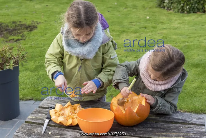 : Little girls making a Halloween pumpkin : Little girls making a Halloween pumpkin
