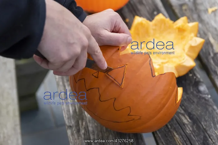 : Little girls making a Halloween pumpkin : Little girls making a Halloween pumpkin